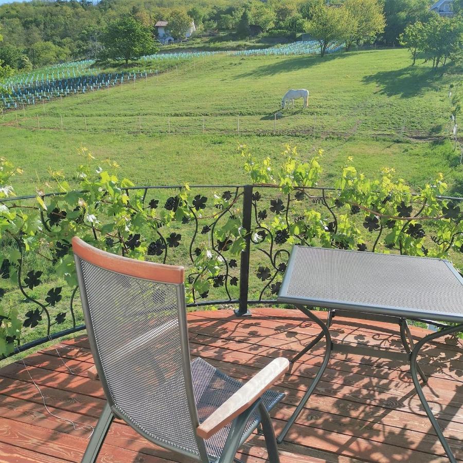 Villa Izabella Badacsonytördemic エクステリア 写真