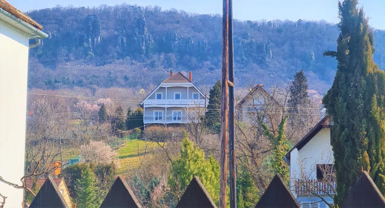 Villa Izabella Badacsonytördemic エクステリア 写真