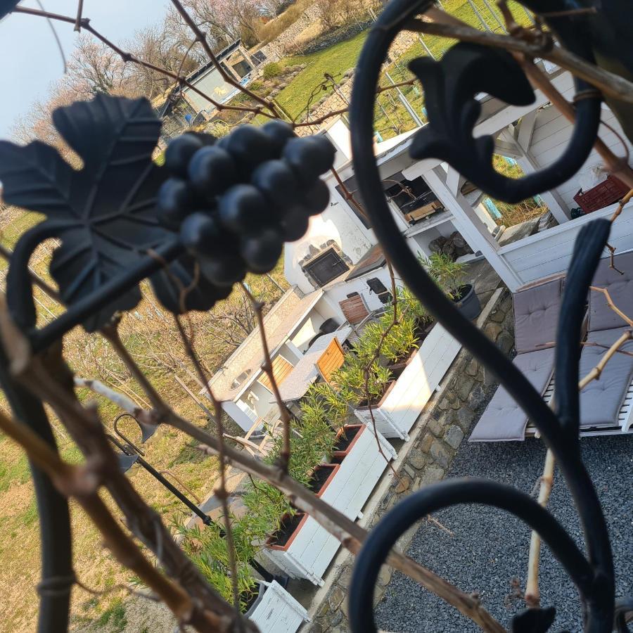 Villa Izabella Badacsonytördemic エクステリア 写真