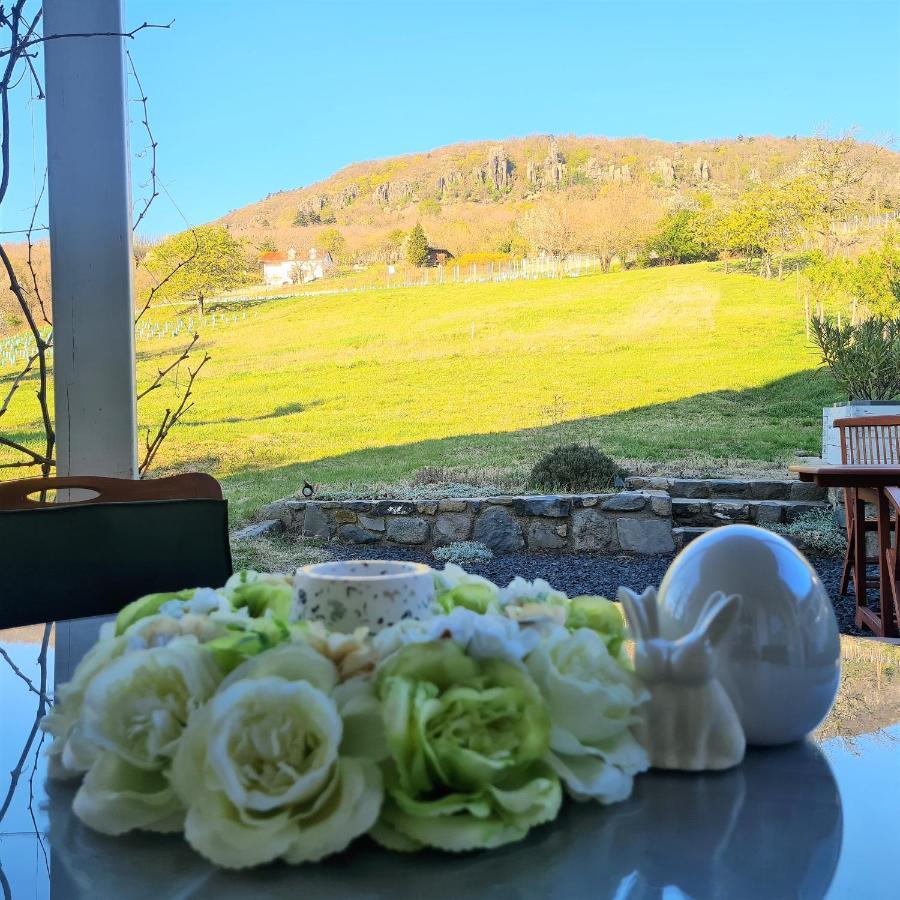Villa Izabella Badacsonytördemic エクステリア 写真
